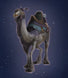 Grey Riding Camel